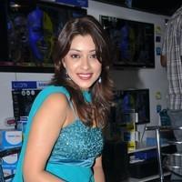 Payal Gosh Hot Gallery | Picture 93163